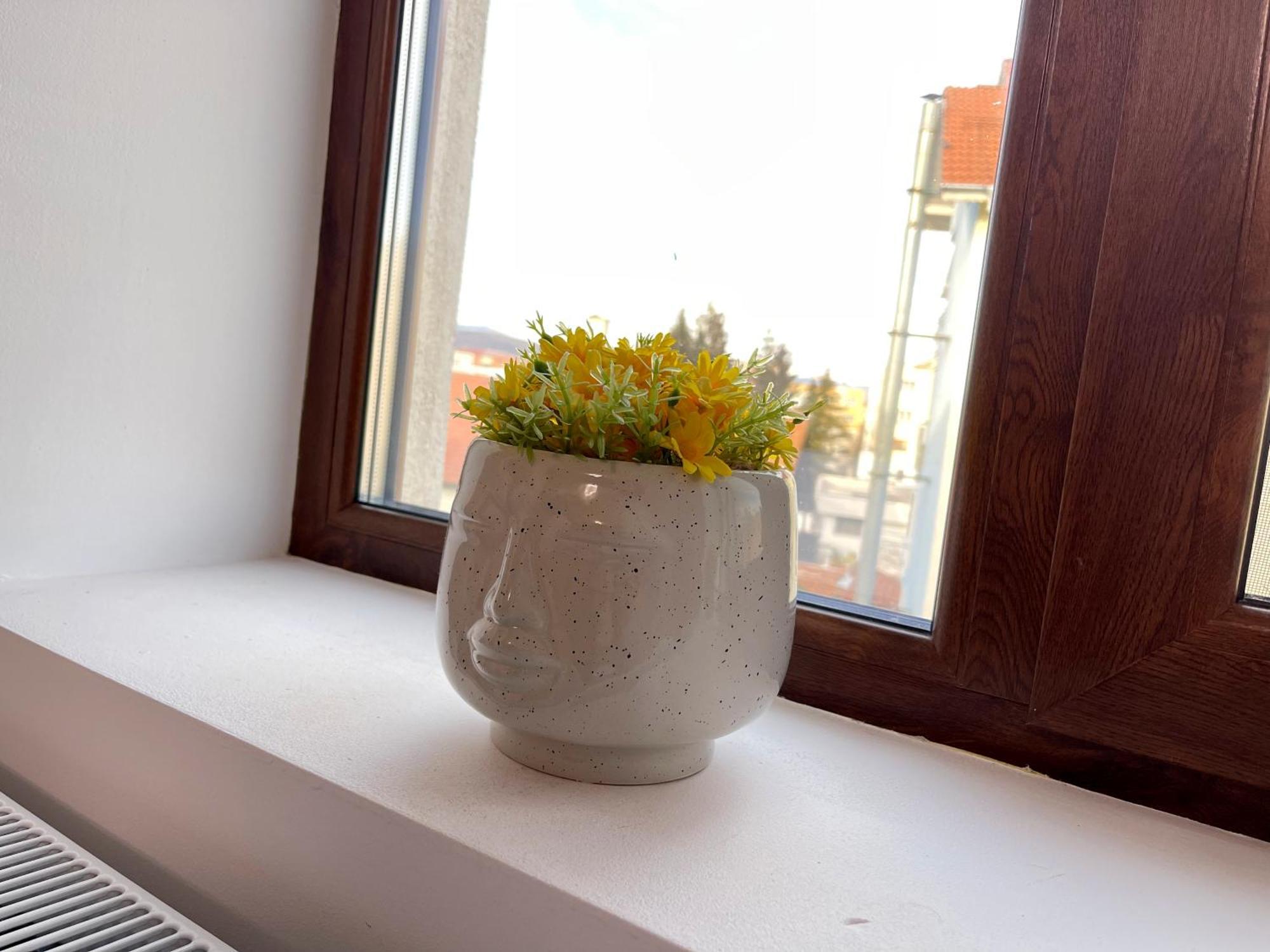 Central Residence Târgu Jiu エクステリア 写真